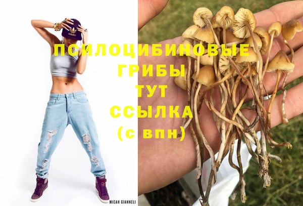 МДМА Бородино