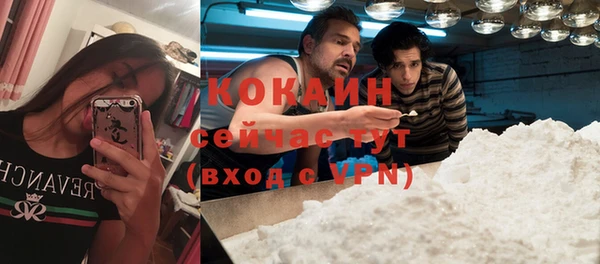 МДМА Бородино